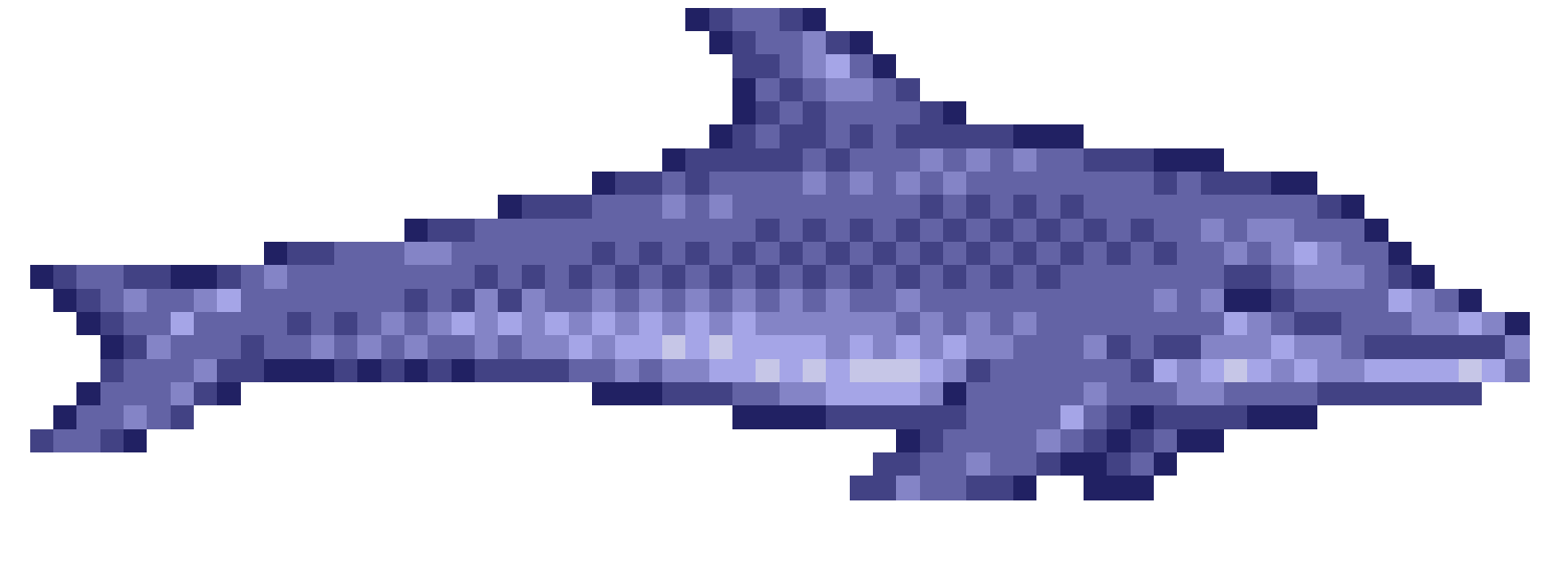swimming dolphin