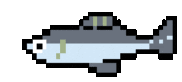 simple grey fish swimming